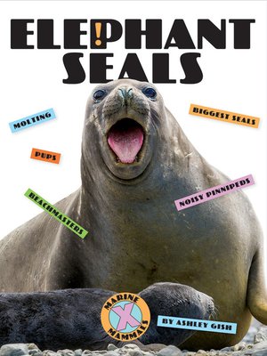 cover image of Elephant Seals